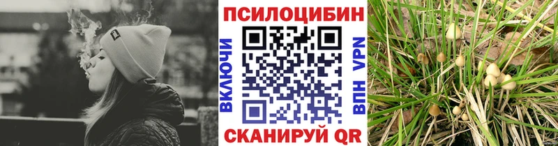 KRAKEN зеркало  Кодинск  Галлюциногенные грибы Psilocybine cubensis 